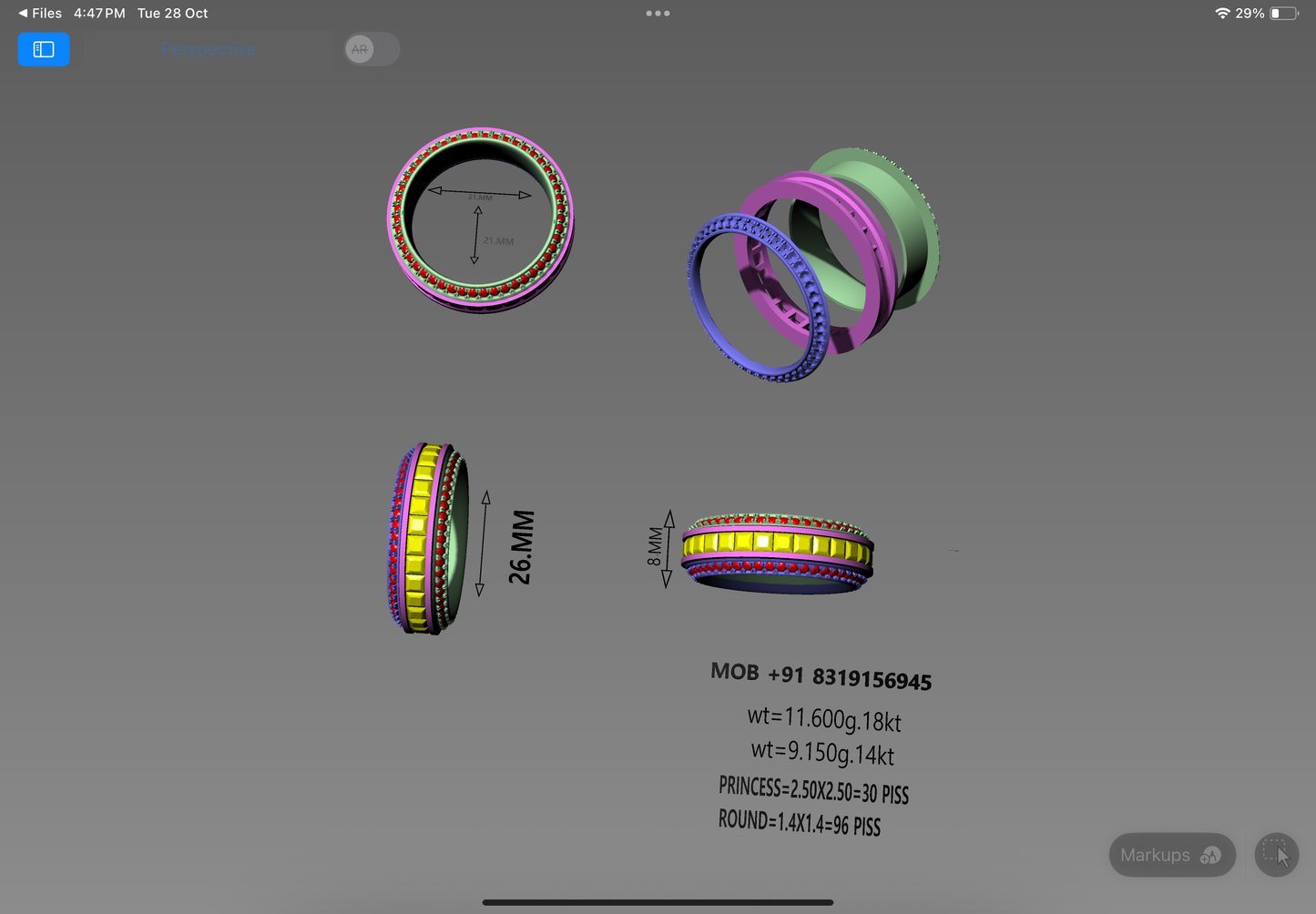 Dual Gem Eternity Band | Precision 3D CAD Design