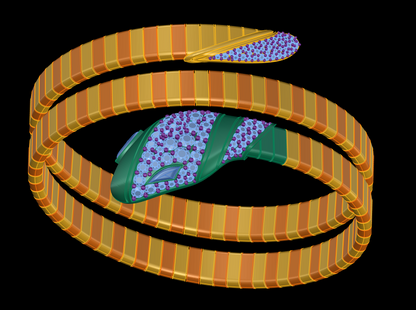 Snake Wrap Flexible Bracelet CAD FILE