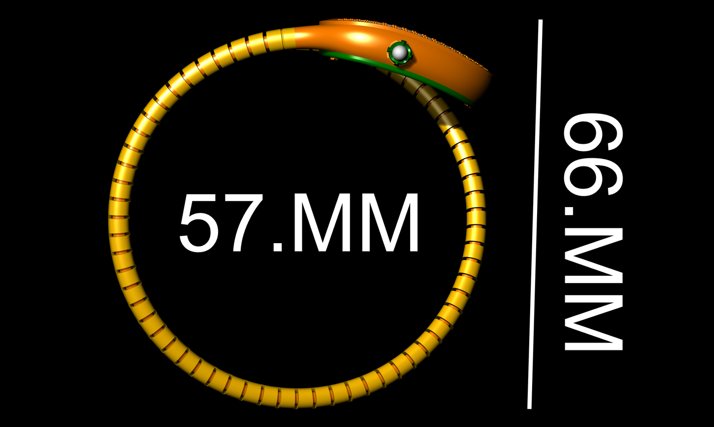 An oval or snake head shaped watch case CAD FILE